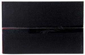 Lexus IS250 Performance Air Intake - AEM Induction - Cold Air Intake - Gunmetal Gray - `06-`13